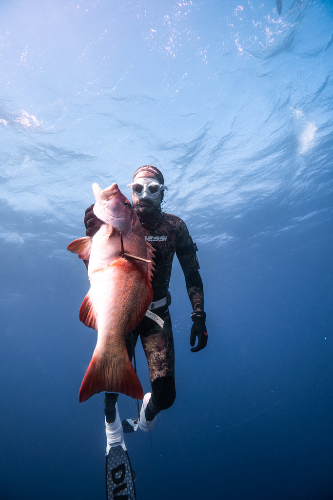 Beginners spearfishing course, freedive course Melbourne 